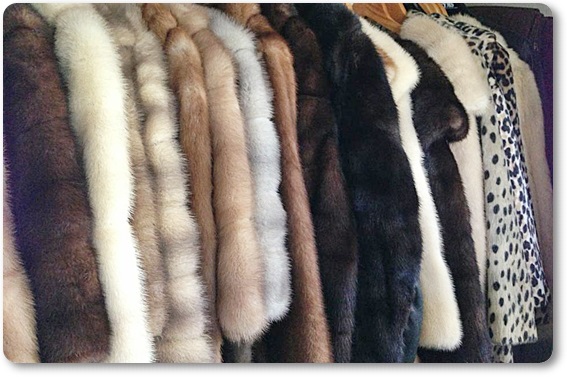 �є甃��b�������ō��z����E��������Ȃ�R�R�������I�K���ł��I