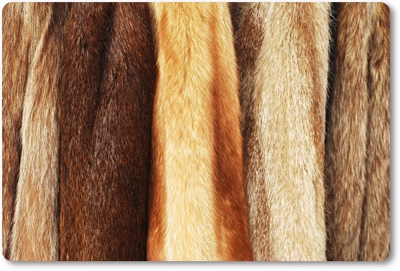 �є甃��E��茧�ō�������E���z����Ȃ�R�R�������I