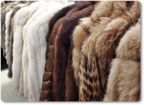 �є甃��b�V�h�E���c�n��E��X�؂ō��z����E��������Ȃ�R�R�I